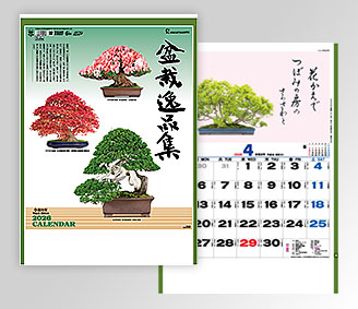 盆栽逸品集