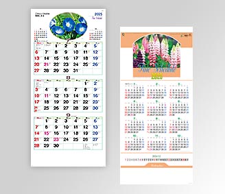 ファインスケジュール