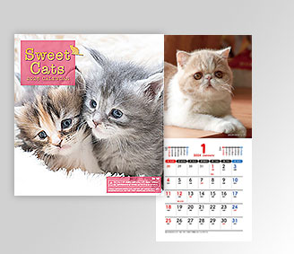 Sweet Cats(猫)