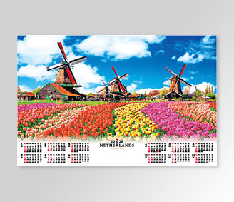 オランダ･キューケンホフのチューリップ畑