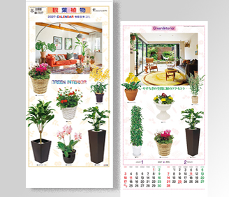 観葉植物