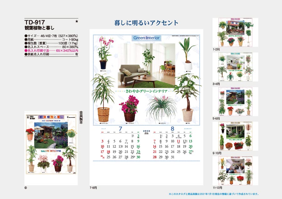 観葉植物と暮し