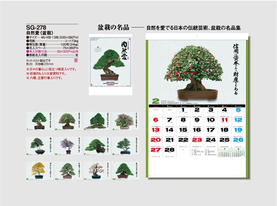自然愛・盆栽(小)