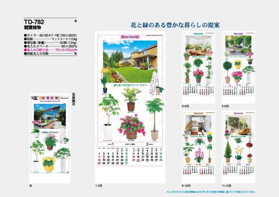 観葉植物