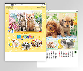 B4 マイペット(7枚)