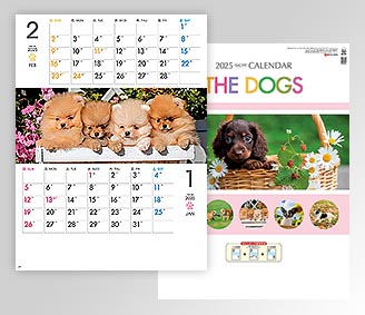 B4 THE DOGS〔ミシン目入〕