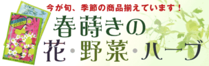 春はご縁が芽吹くノベルティを。